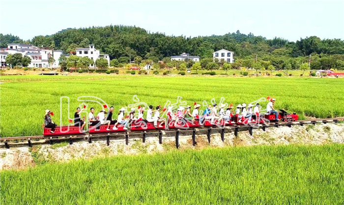 景區網紅小火車 景區網紅小火車