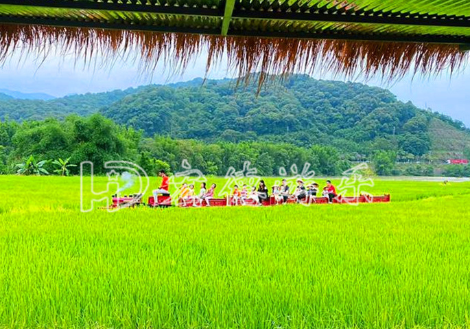 河南LUTUBE官方版下载廠家 河南LUTUBE官方版下载廠家