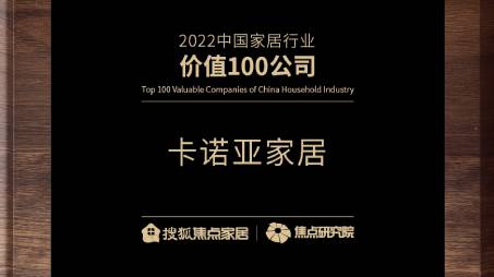 百強之巔|91视频污污免费下载再獲“2022中國家居行業價值100公司”榮譽